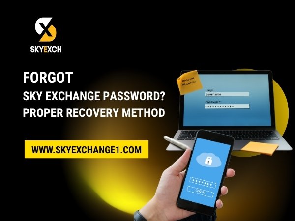 Forgot Sky Exchange Password Proper Recovery Method